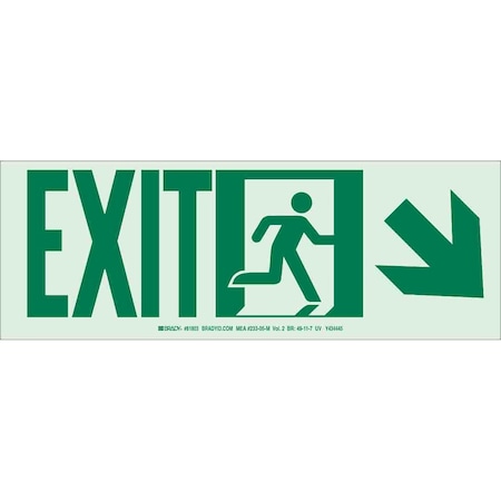 Brady Exit Sign, Polyester, 14" W, 5" H, Exit, White 81802